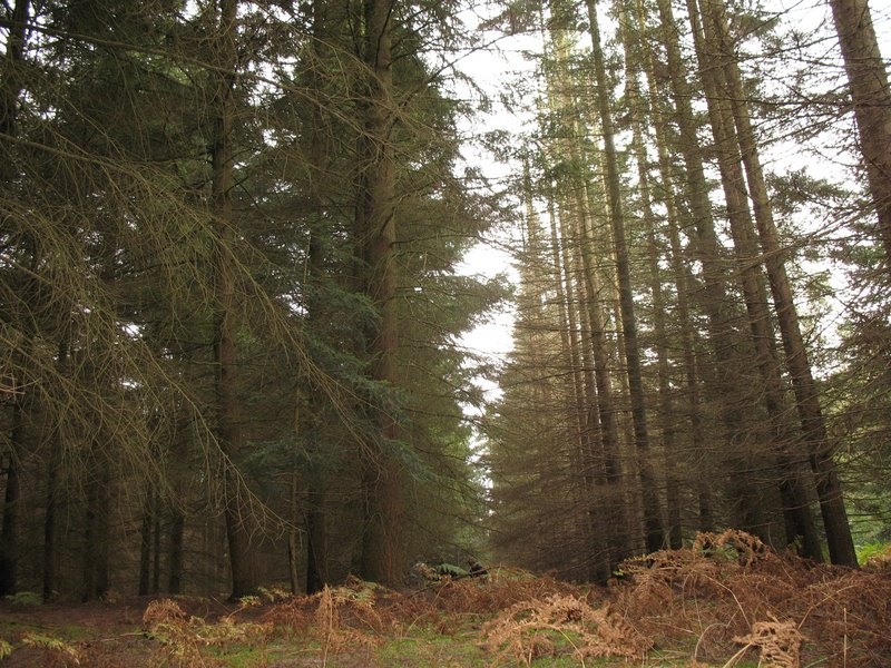 2007 09 Myco avec la SMF 05